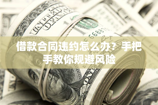 武汉借款合同违约怎么办？手把手教你规避风险