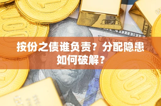 武汉按份之债谁负责？分配隐患如何破解？