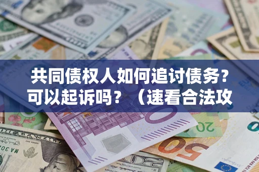 武汉共同债权人如何追讨债务？可以起诉吗？（速看合法攻略）