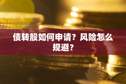武汉债转股如何申请？风险怎么规避？