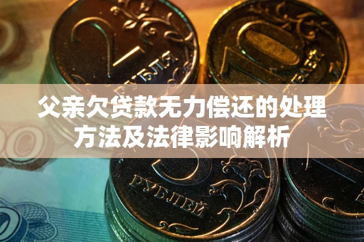 武汉父亲欠贷款无力偿还的处理方法及法律影响解析