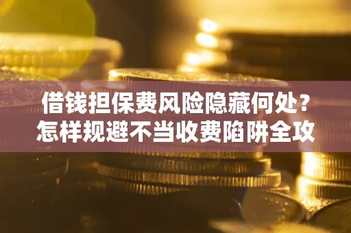 武汉借钱担保费风险隐藏何处？怎样规避不当收费陷阱全攻略！