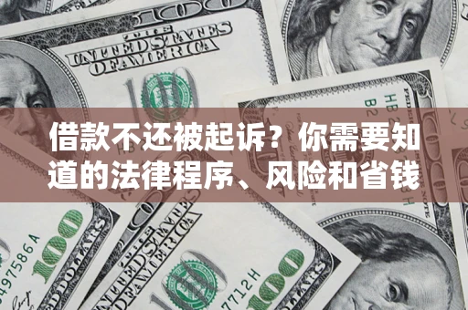 武汉借款不还被起诉？你需要知道的法律程序、风险和省钱技巧